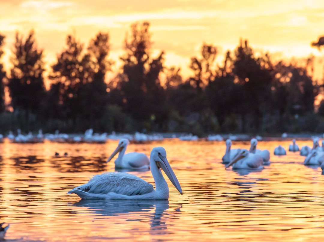 Bosque de San Juan de Aragon-墨西哥城必去景点