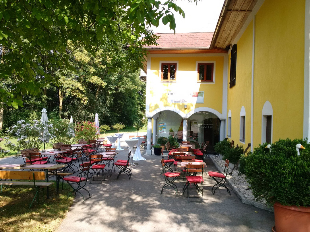 Wolfsegg am Hausruck餐馆和美食-Mostothek Penetsdorfer