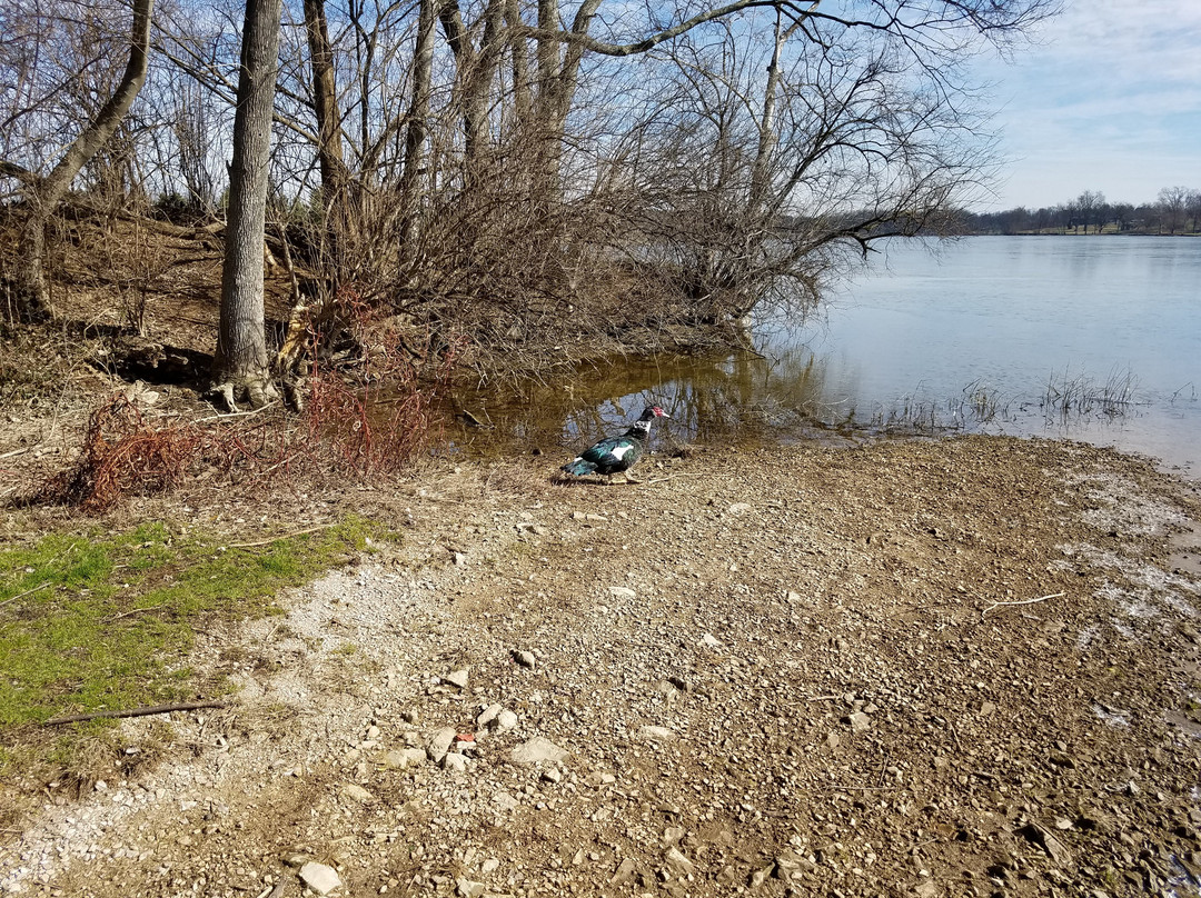 Jacobson Park-列克星敦必去景点