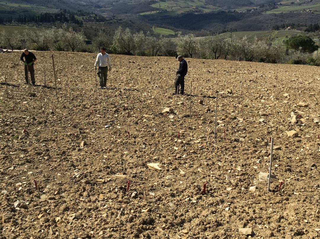 Azienda Agricola Il Palagio di Panzano景点图片