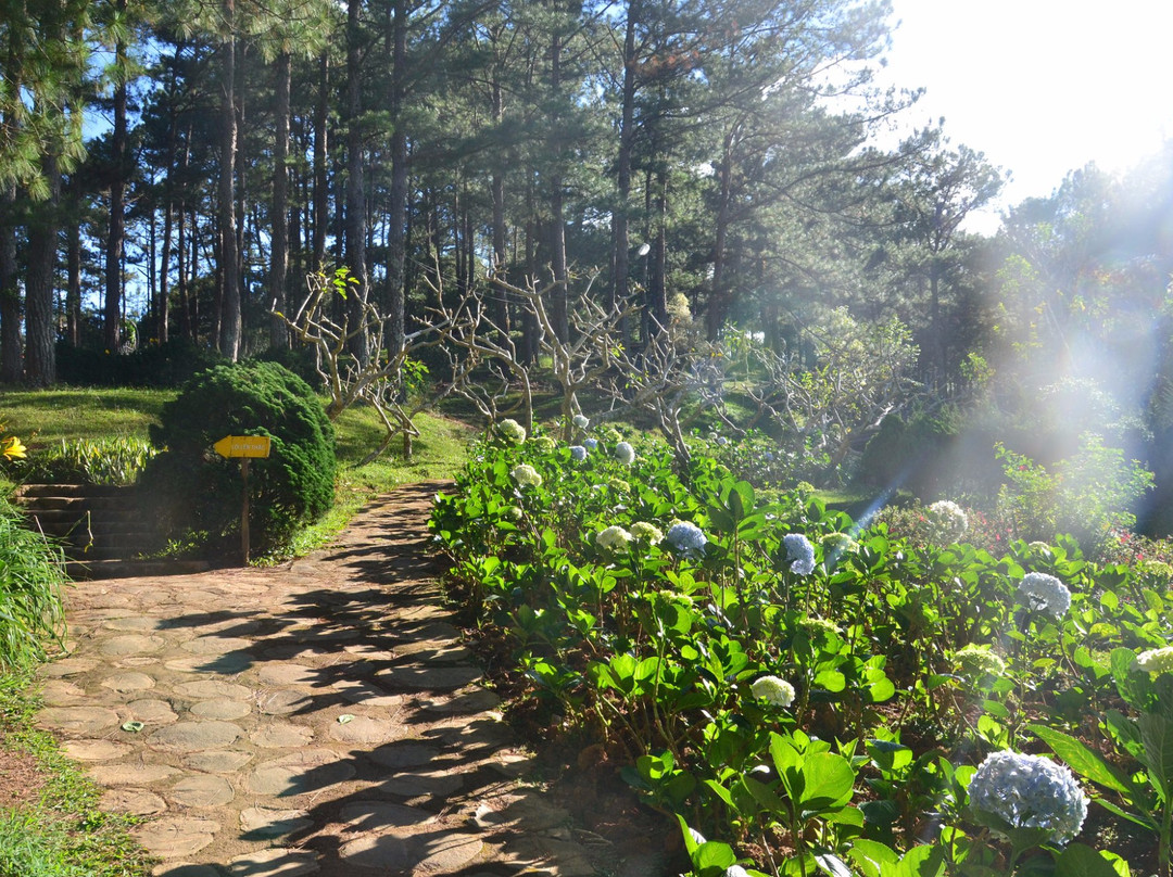 Golden Valley-大勒必去景点