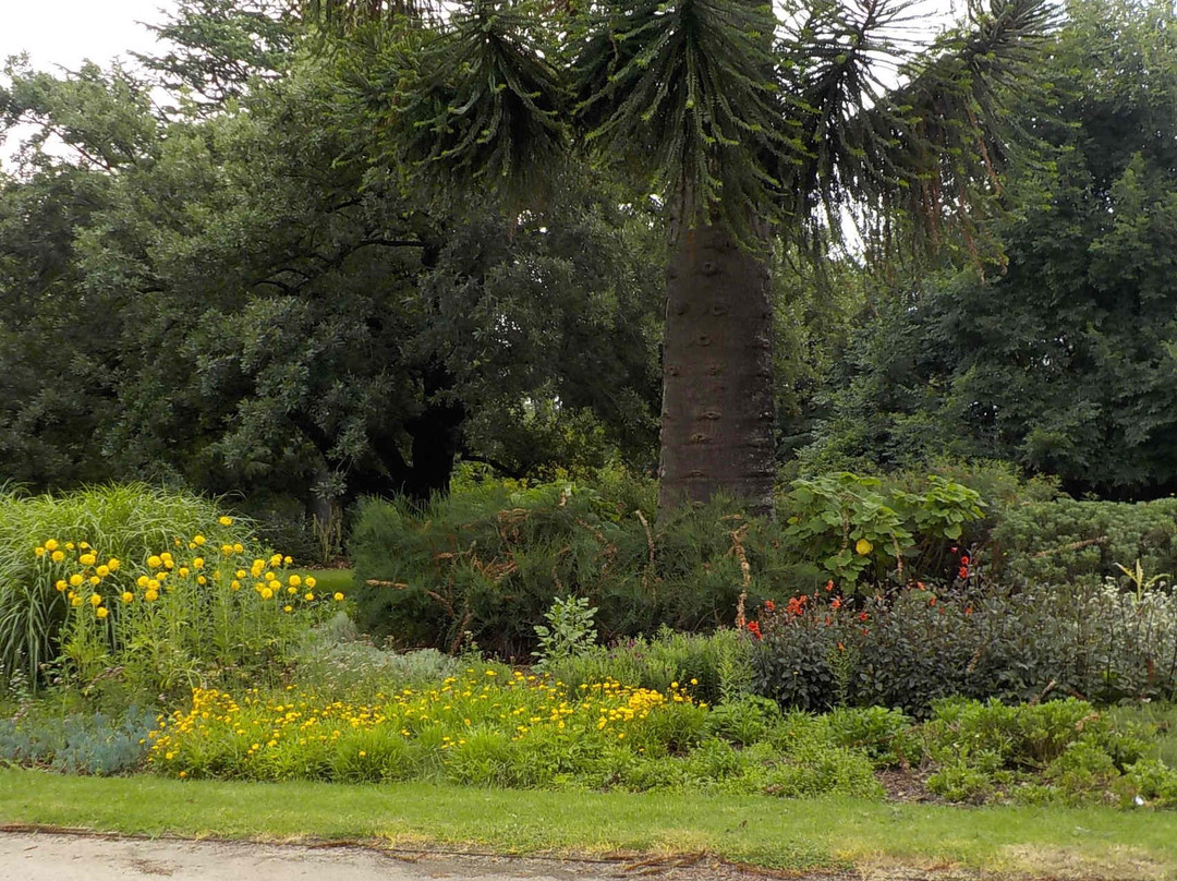 Benalla Botanic Gardens景点图片