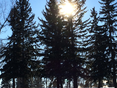 Shaganappi Point Golf Course-卡尔加里必去景点