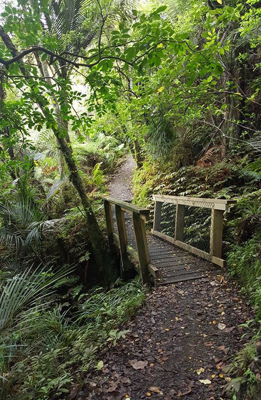 Pohuehue Waterfalls-瓦卡沃夫必去景点