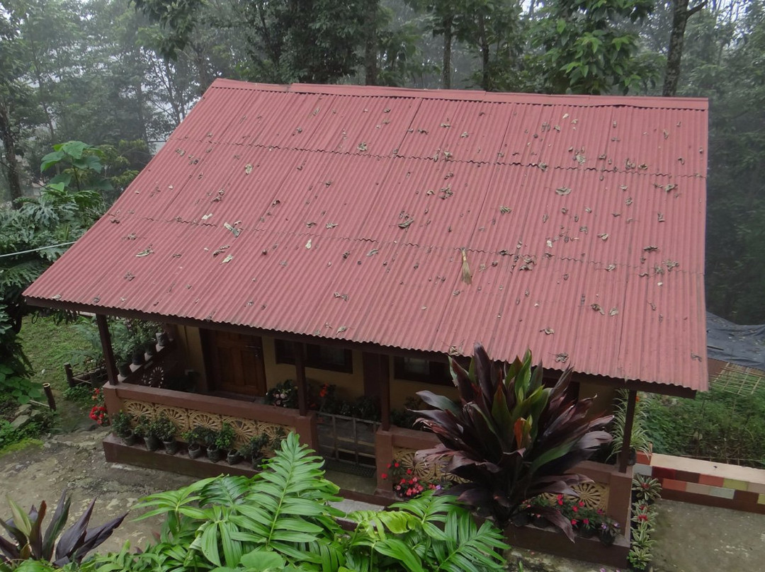 Humro Home Deolo主图