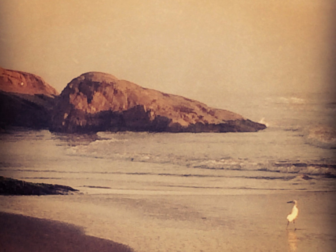 Iro Beach-Laguna必去景点