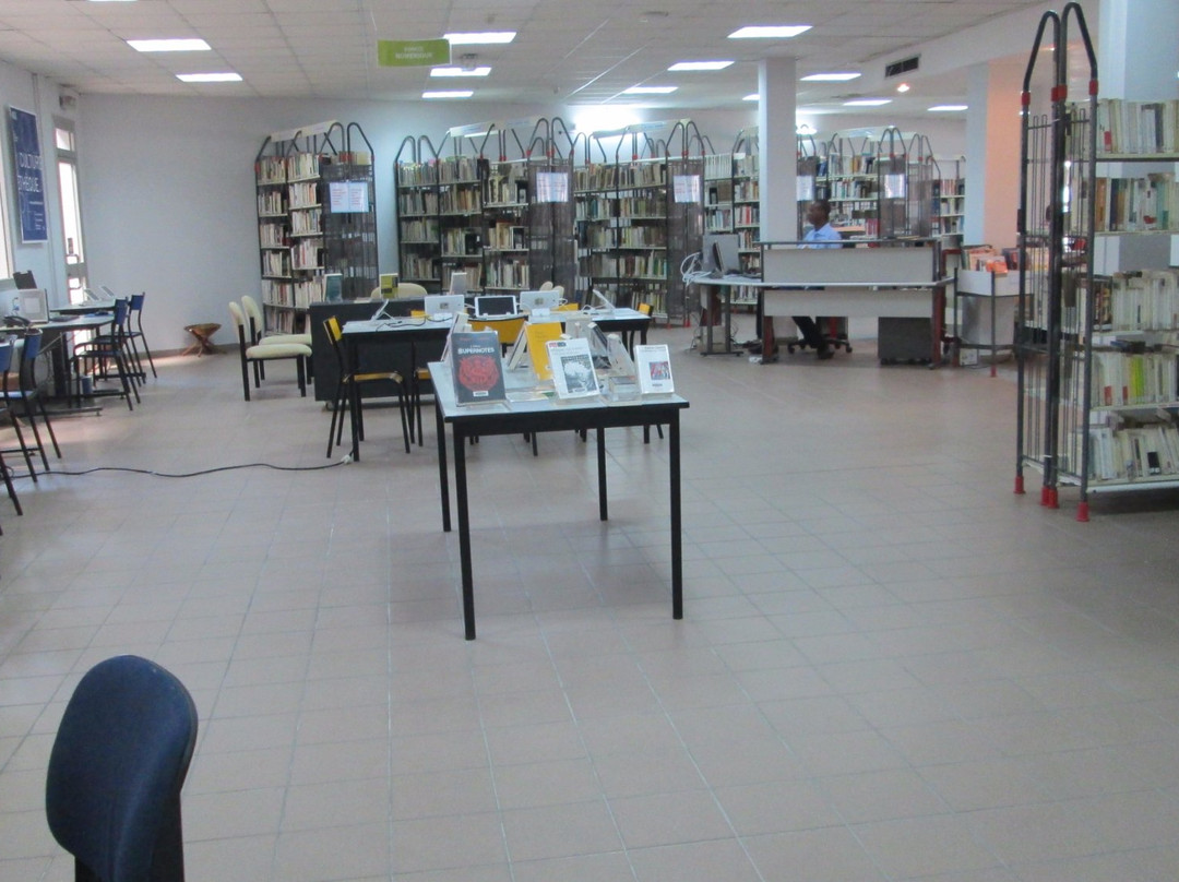 Institut Francais du Congo-布拉萨市必去景点