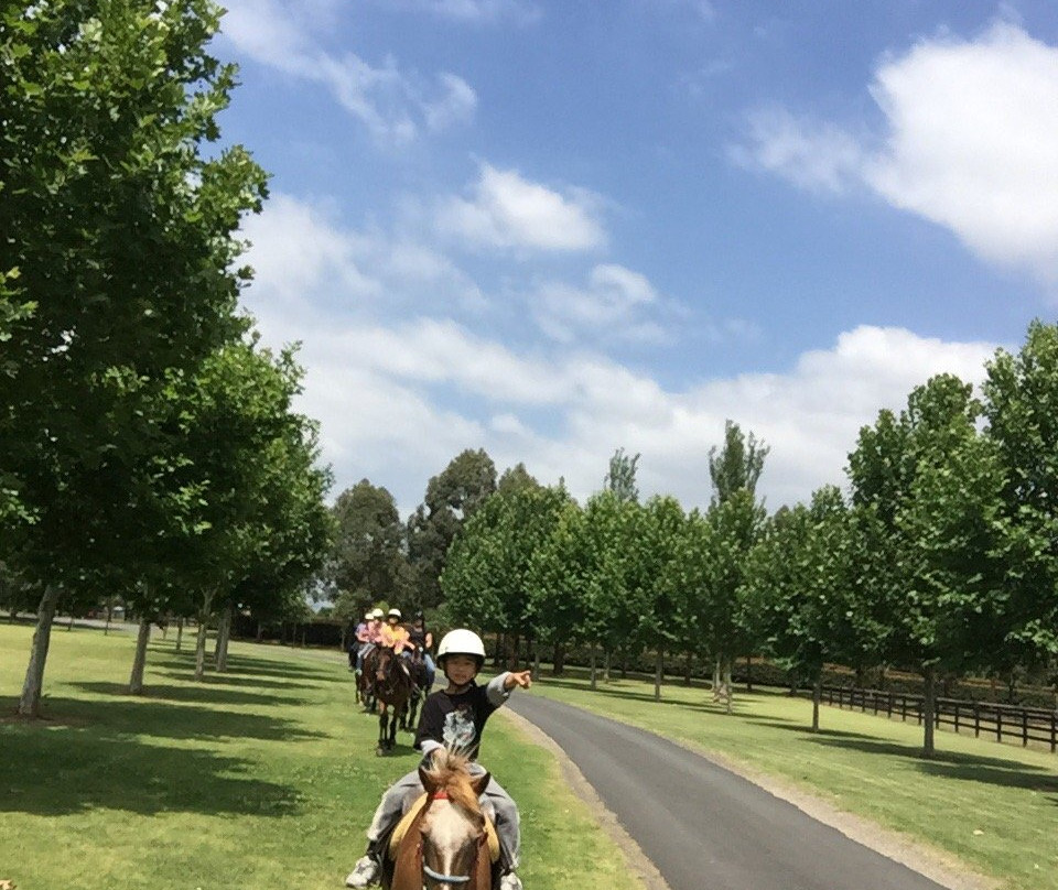 Sydney Trail Riding Centre景点图片