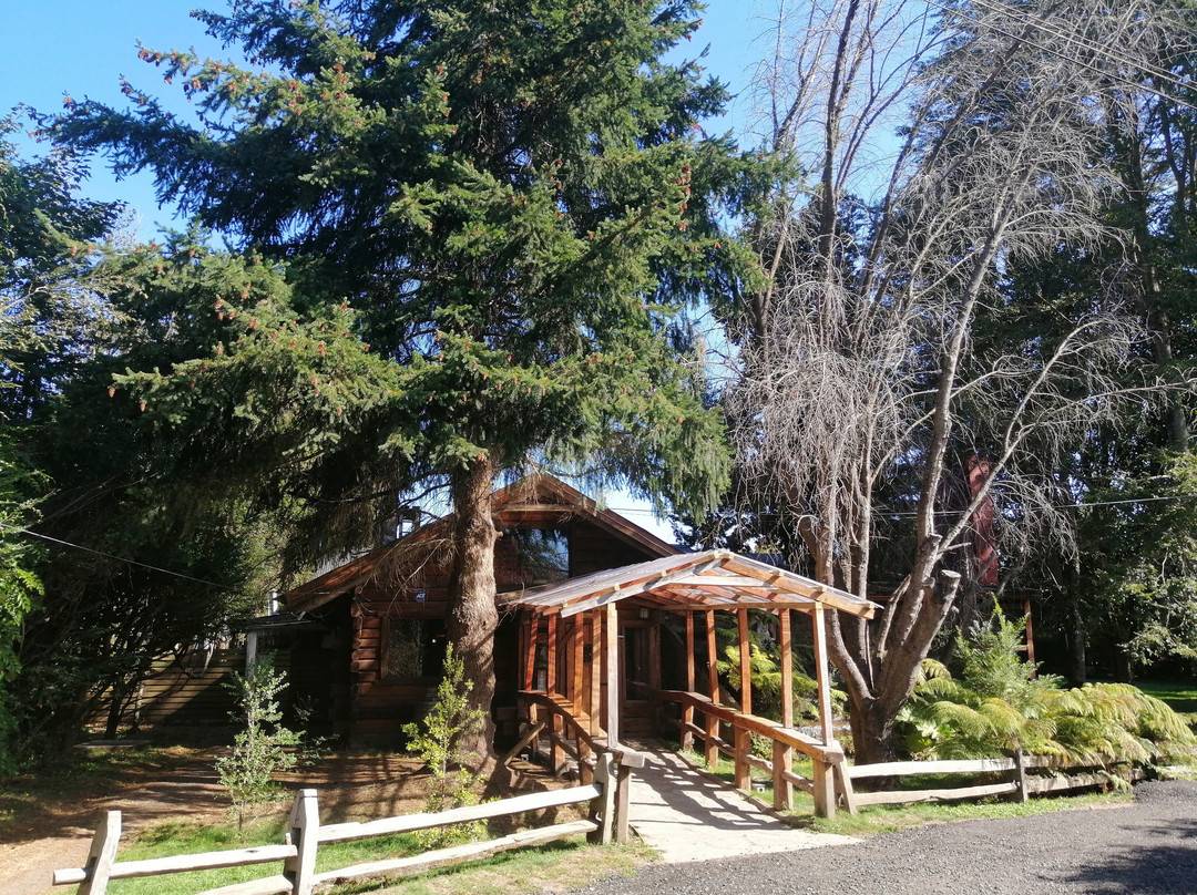 Osorno餐馆和美食-Agua y Campo