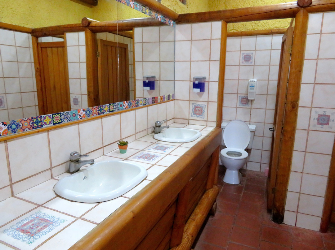 Viña Falernia-Vicuna必去景点