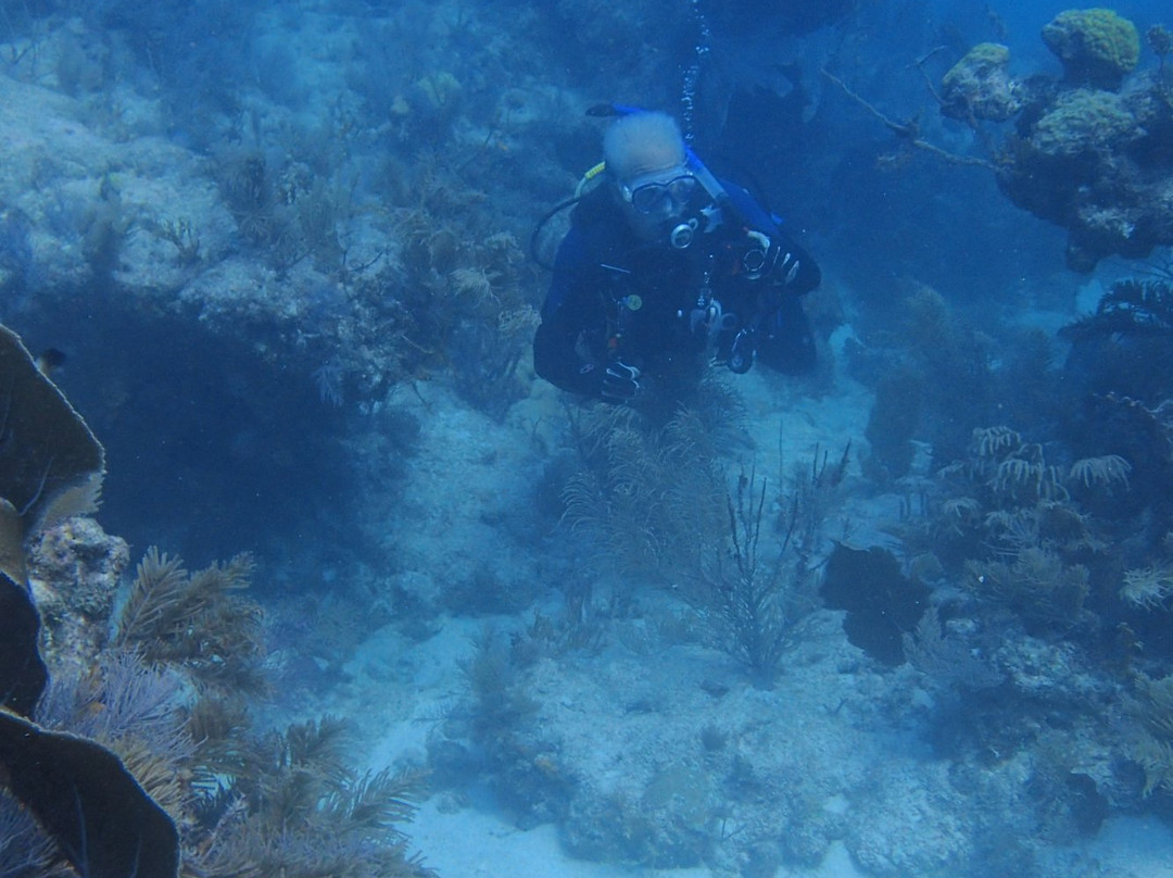Carysfort Reef Lighthouse reef-拉哥岛必去景点