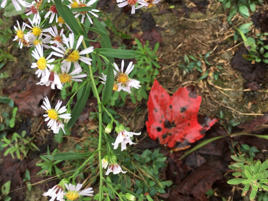 Bolar Mountain Recreation Area-Warm Springs必去景点