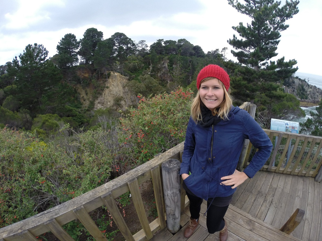 Light to Light Walk-伊登港必去景点