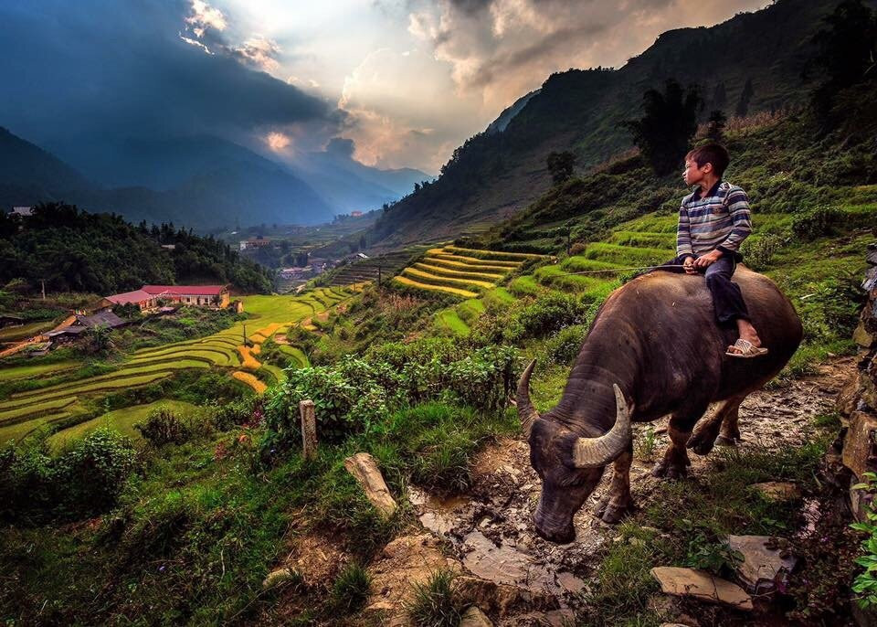 Tam Duong Market景点图片
