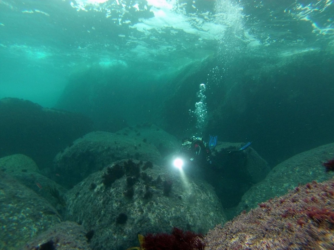 Buceo Malpica-Malpica de Bergantinos必去景点