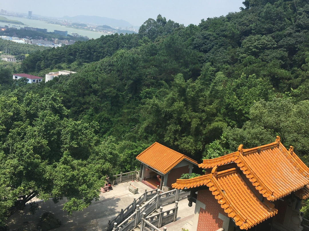 大雁山景点图片