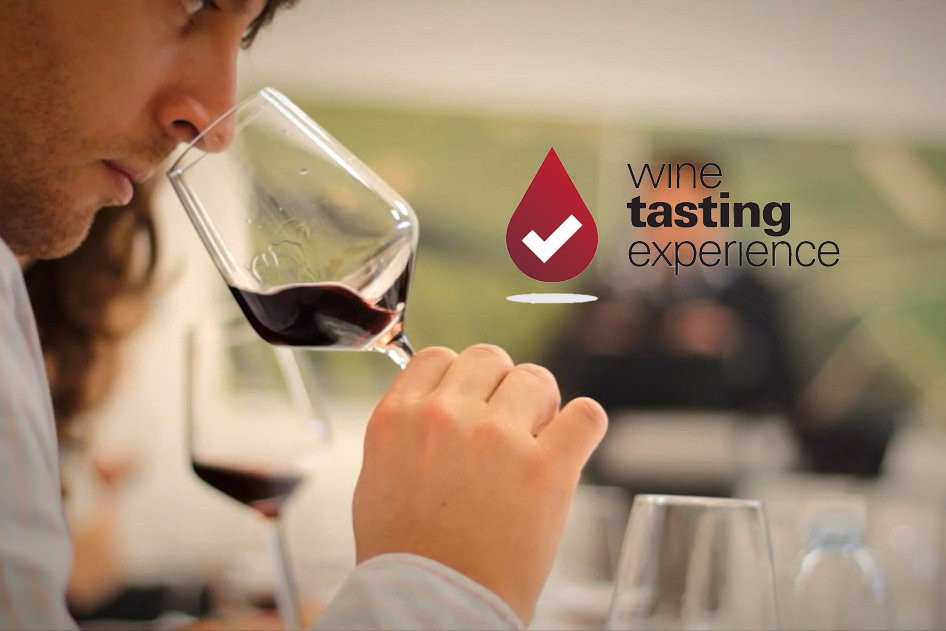 Wine Tasting Experience-Castiglione Falletto必去景点