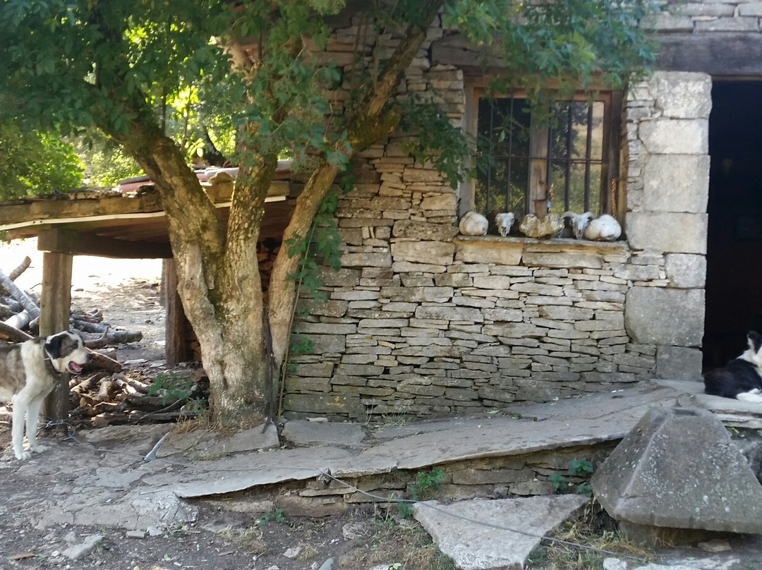 Queseria Aldaia-Estella必去景点