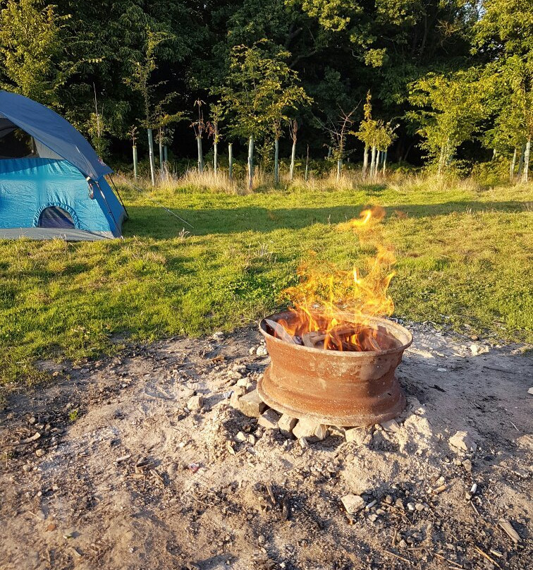 Kitts Cottage Campsite