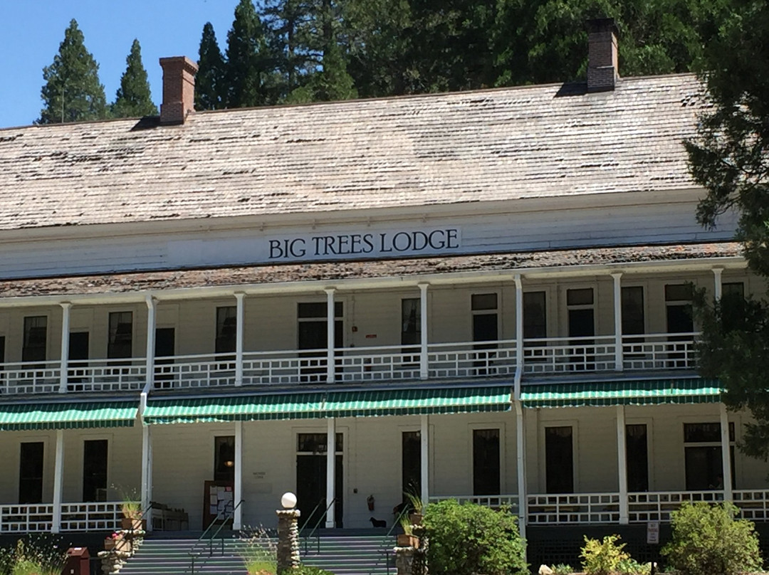 菲什营餐馆和美食-Wawona Hotel Dining Room