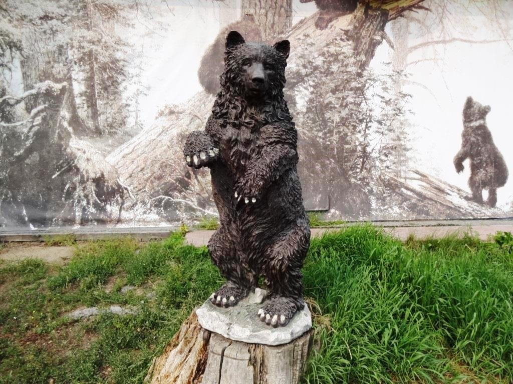 Sculpture the Bear景点图片