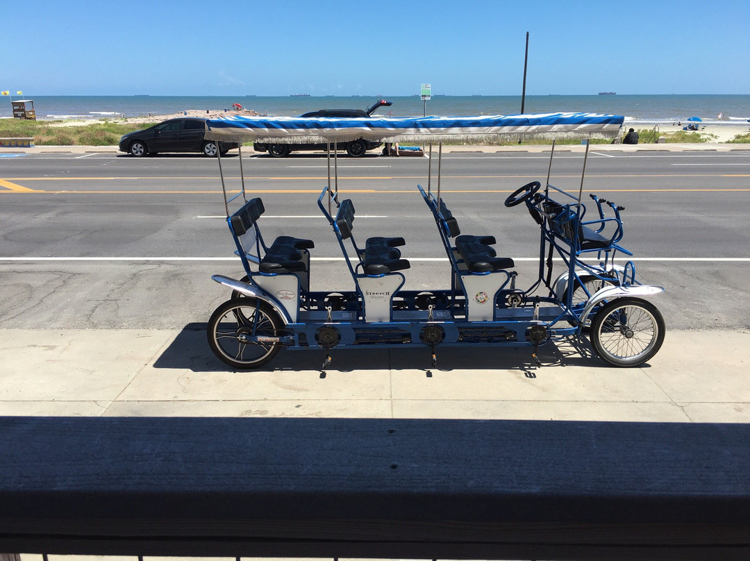 Jungle Surf Rentals-盖维斯顿必去景点