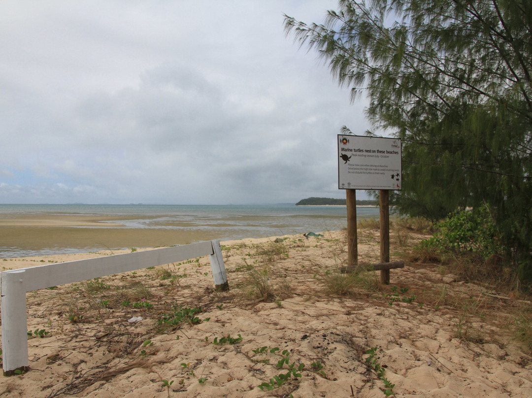 Bamaga旅游攻略图片