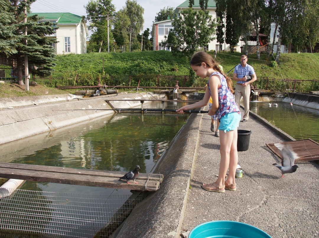 Trout Farm景点图片