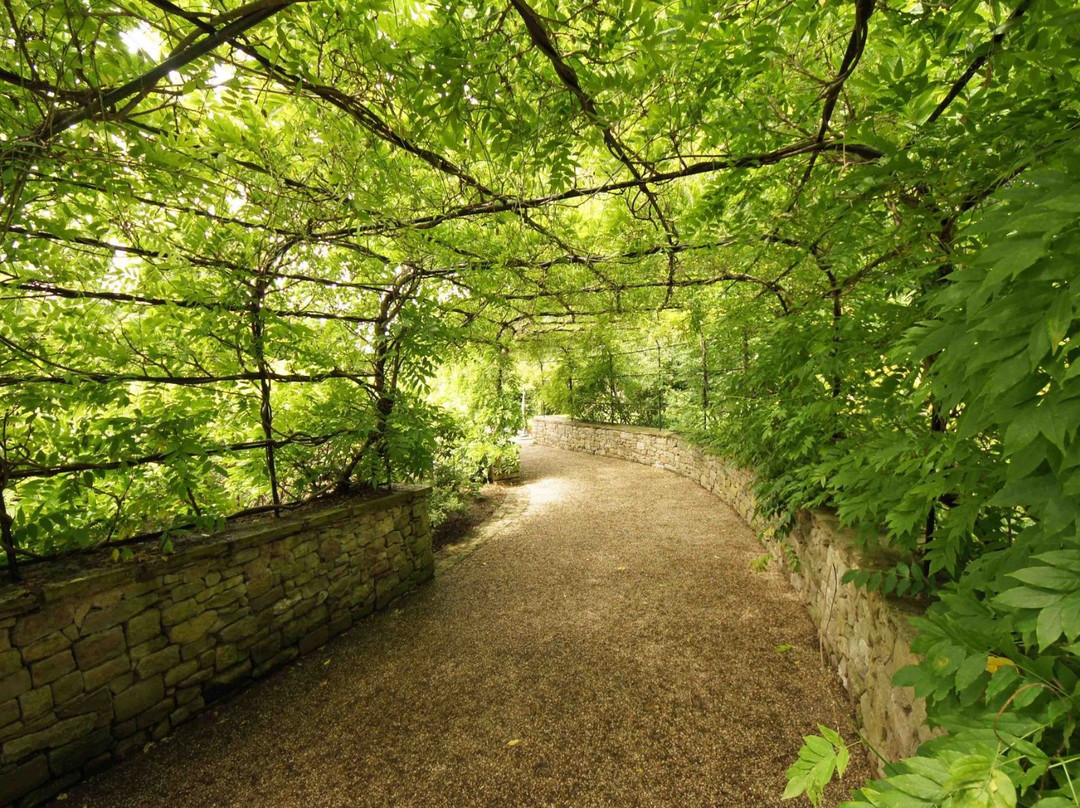 Brynbella Gardens景点图片