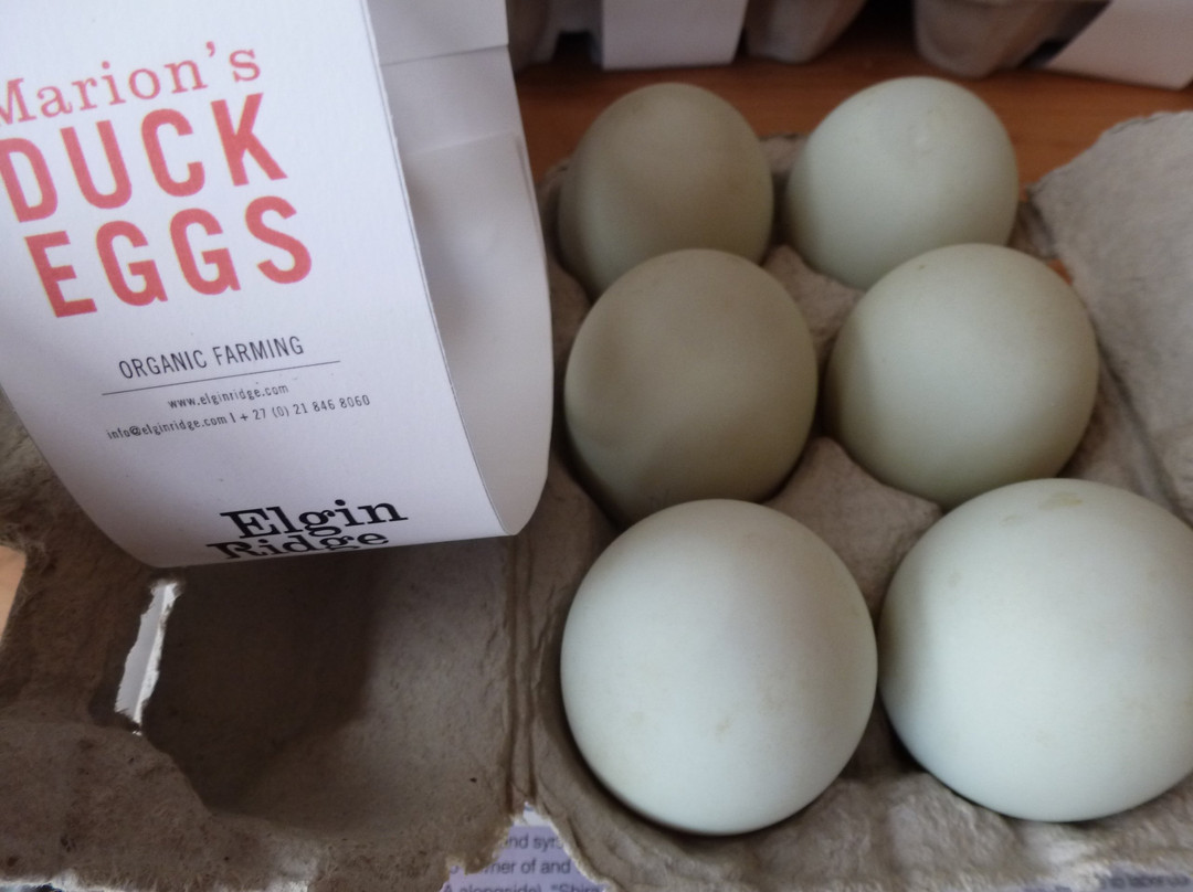 Elgin Ridge Wines-Elgin必去景点