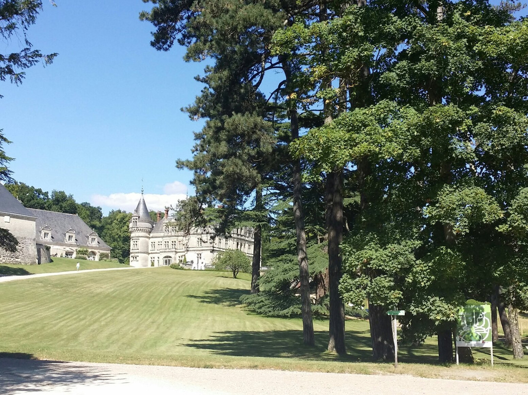 Gardens of the Chateau de la Bourdaisiere景点图片