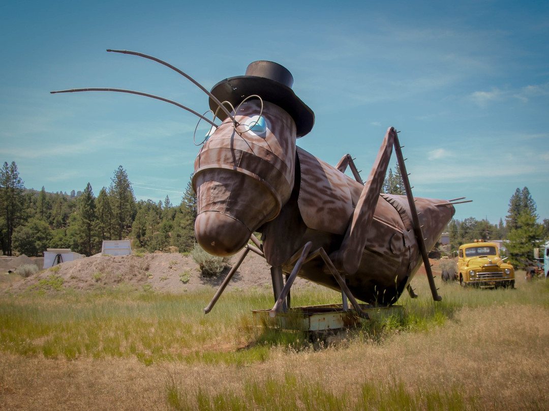 Large Junk Art Sculptures景点图片