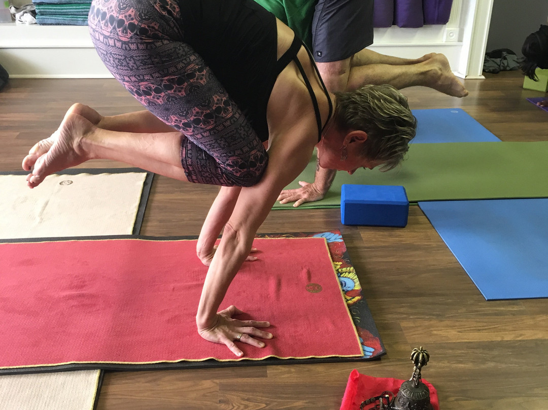 Southern Bliss Yoga-Sumter必去景点