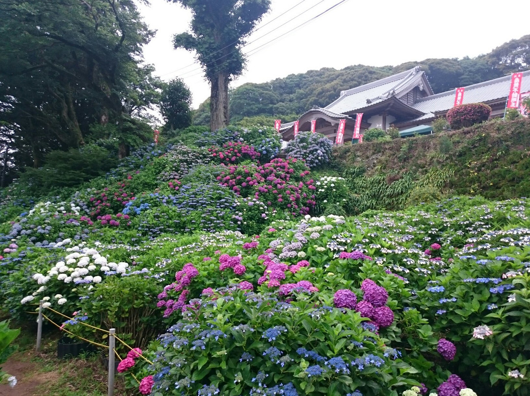 Mt. Sugitake Fudoson Daishoji Temple-武雄市必去景点