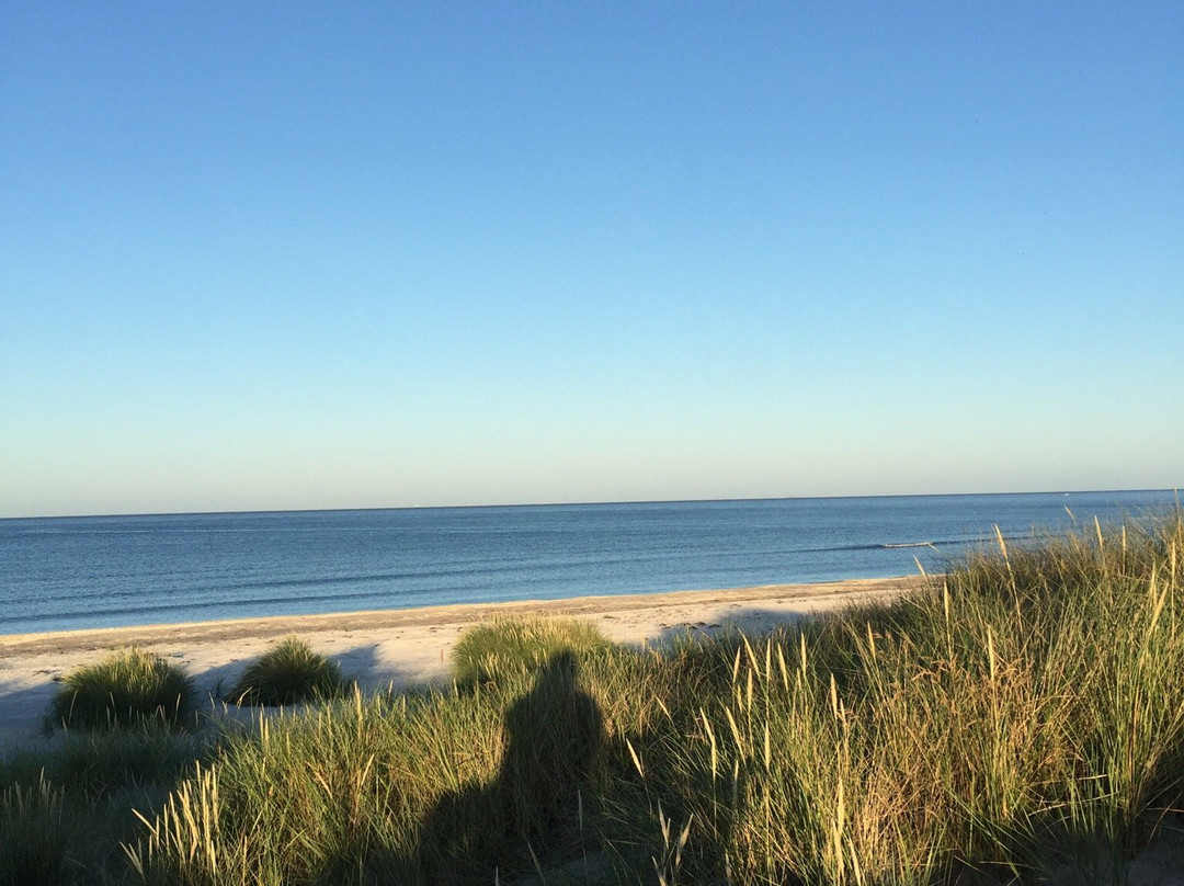 DCU-Camping Albaek Strand