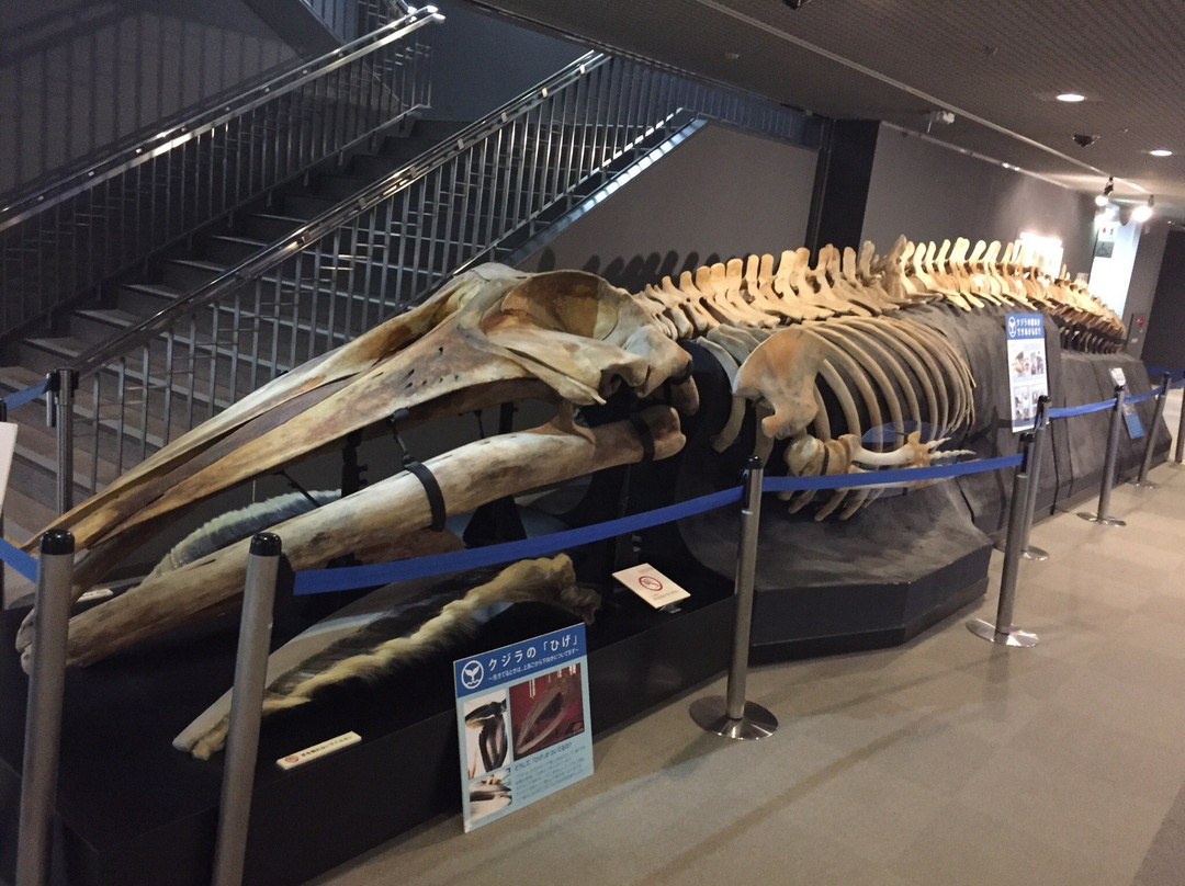 Hyogo Prefectural Operated Human and Nature Museum-三田市必去景点