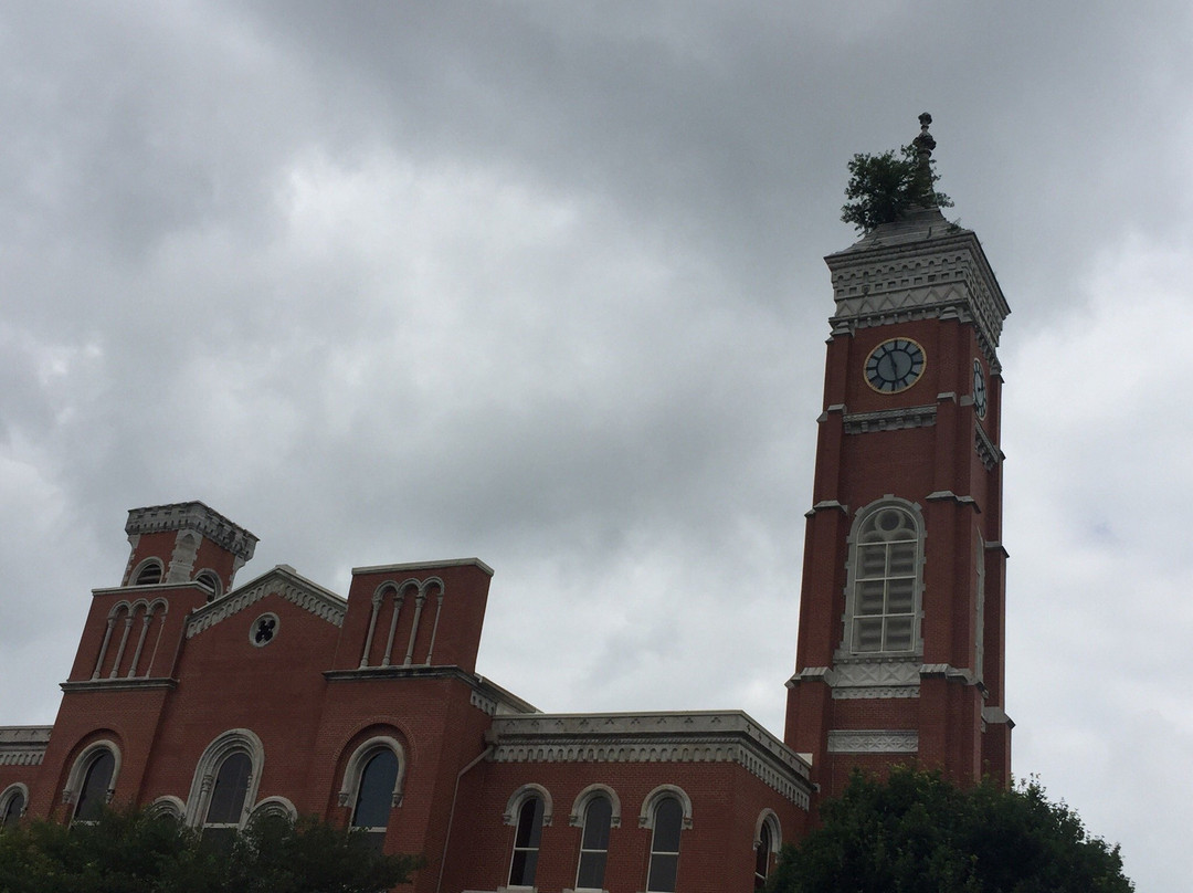 Courthouse Tree景点图片