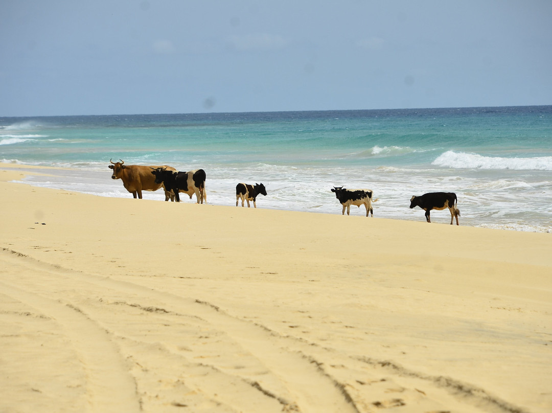 Fefetours-萨尔雷必去景点