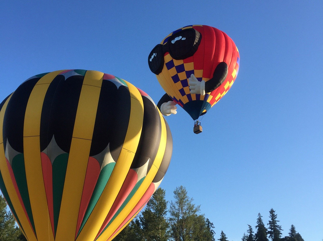 Cook Park-泰格德必去景点