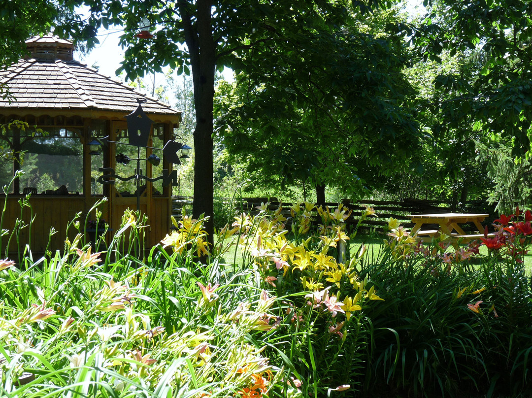 Transvaal Farm Guest House主图