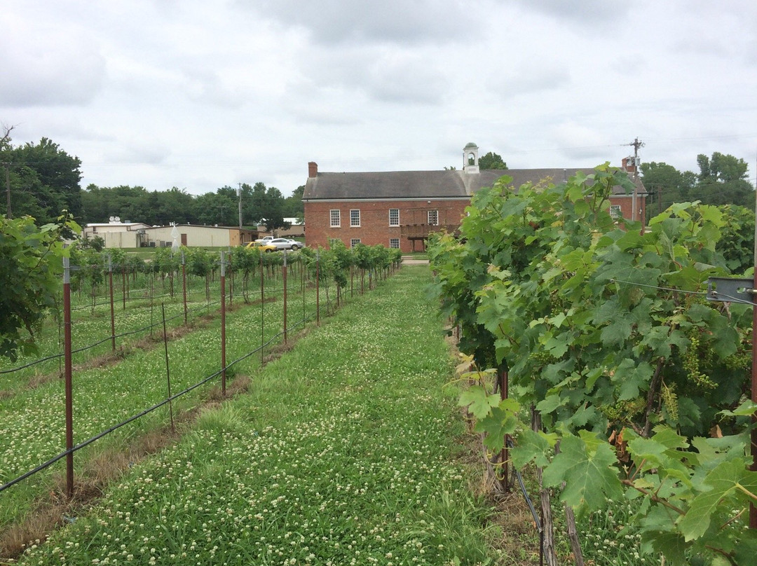 Tidewater Winery景点图片