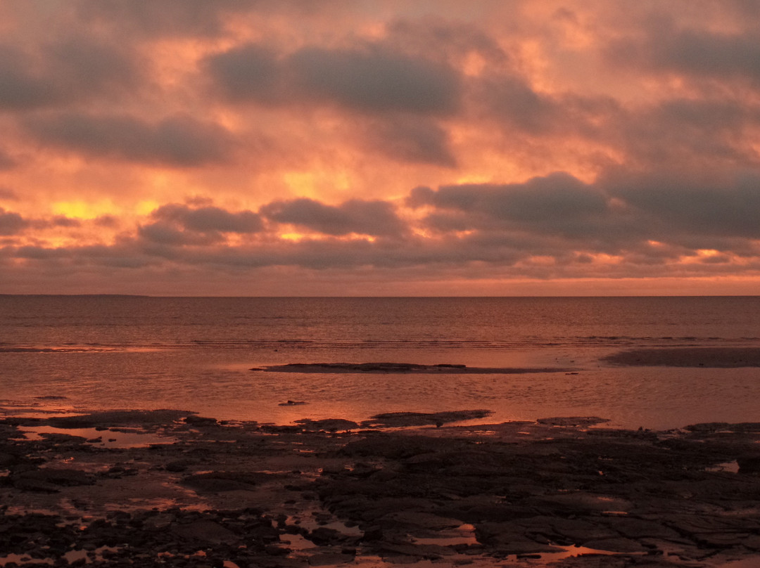 D's B & B by the sea主图