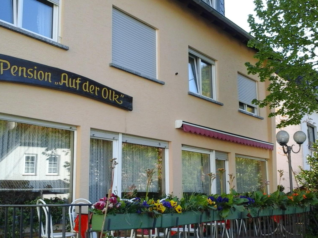 Veldenz酒店住宿-Pension Auf der Olk
