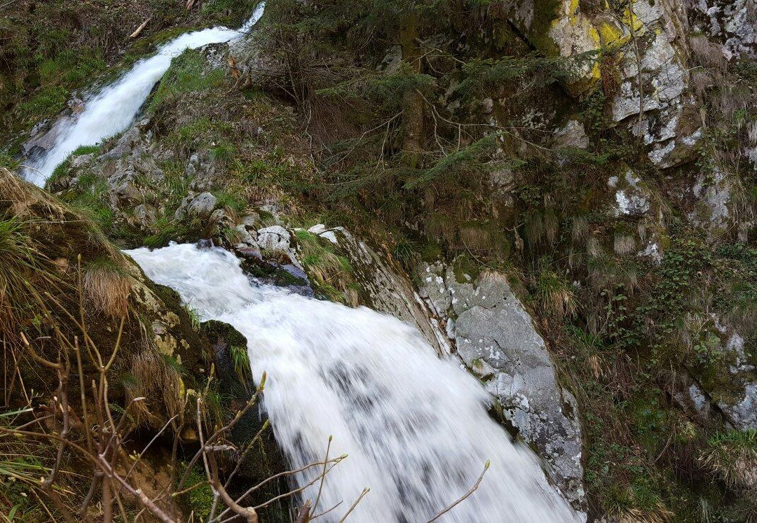 Oppenau旅游攻略图片