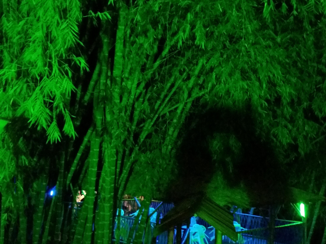 Finca Hotel Andaquies主图