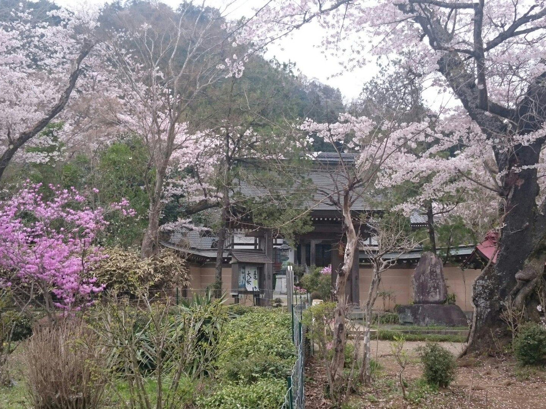 Kogonji Temple景点图片