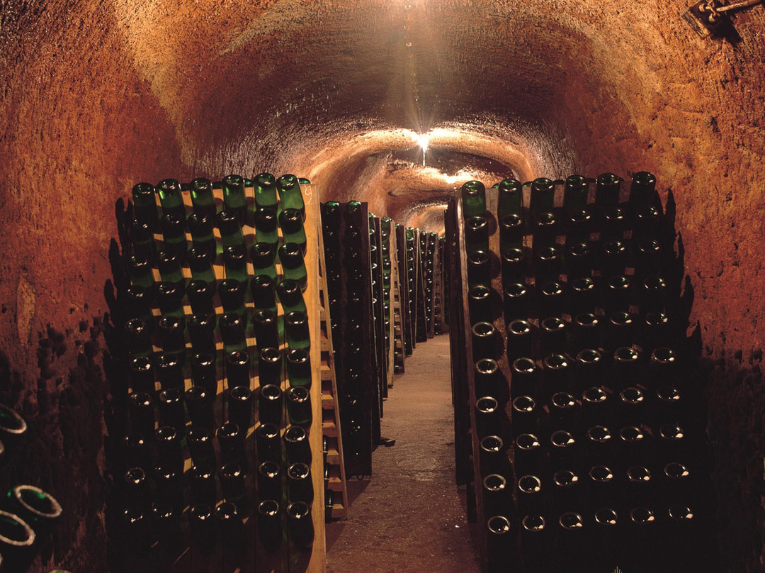 Caves do Solar de São Domingos景点图片