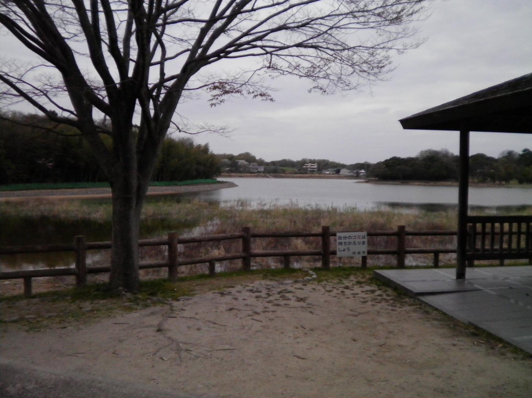 Suhara Park景点图片