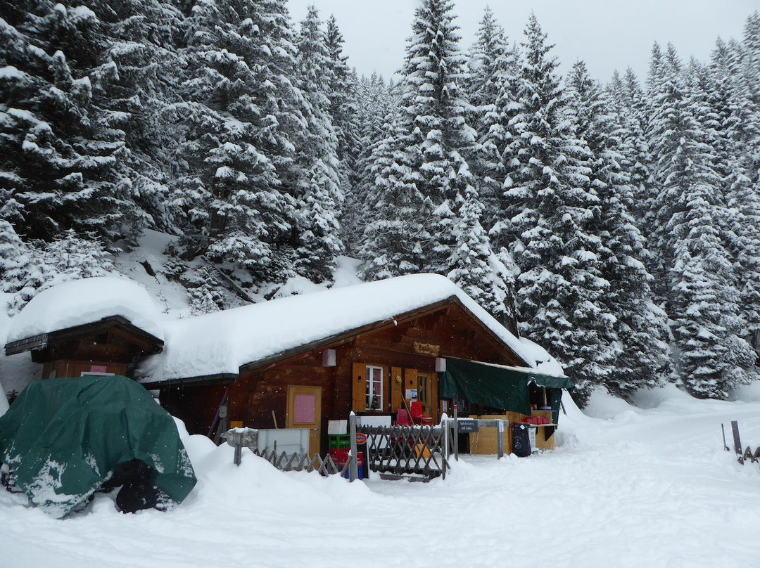 Wanderung Bussalp - Bort-格林德瓦必去景点