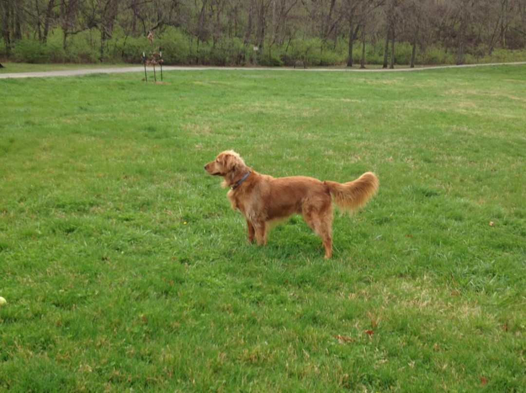 Grindstone Nature Area-哥伦比亚市必去景点